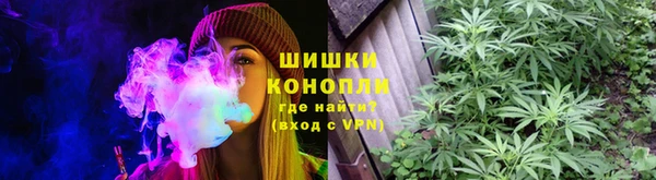 твердый Осинники