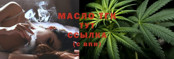 твердый Осинники
