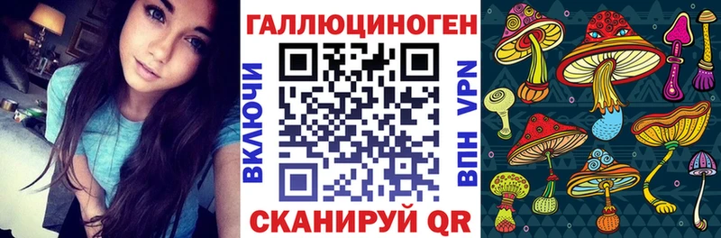 Псилоцибиновые грибы прущие грибы  Ивангород 