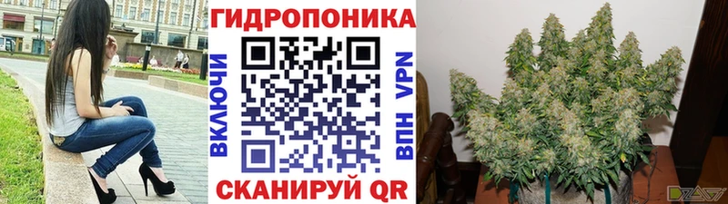 Шишки марихуана SATIVA & INDICA Ивангород